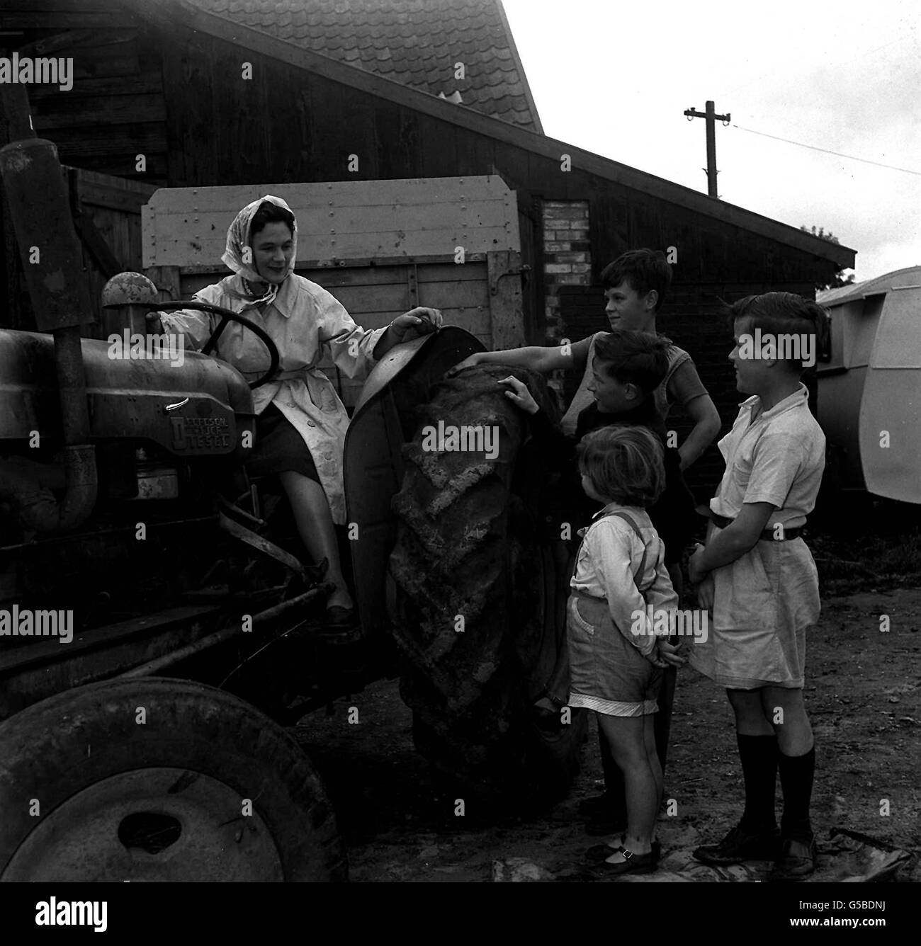 NORFOLK FARM 1960: Mrs Elaine Kellett, 36 year old winner of the Ford Foundation English Speaking Union travel grant as 'British Country Housewife No 1', is watched by her 4 children as she takes the wheel of her tractor on her 149 acre farm, Park Farm, Gressenhall, Norfolk. Stock Photo