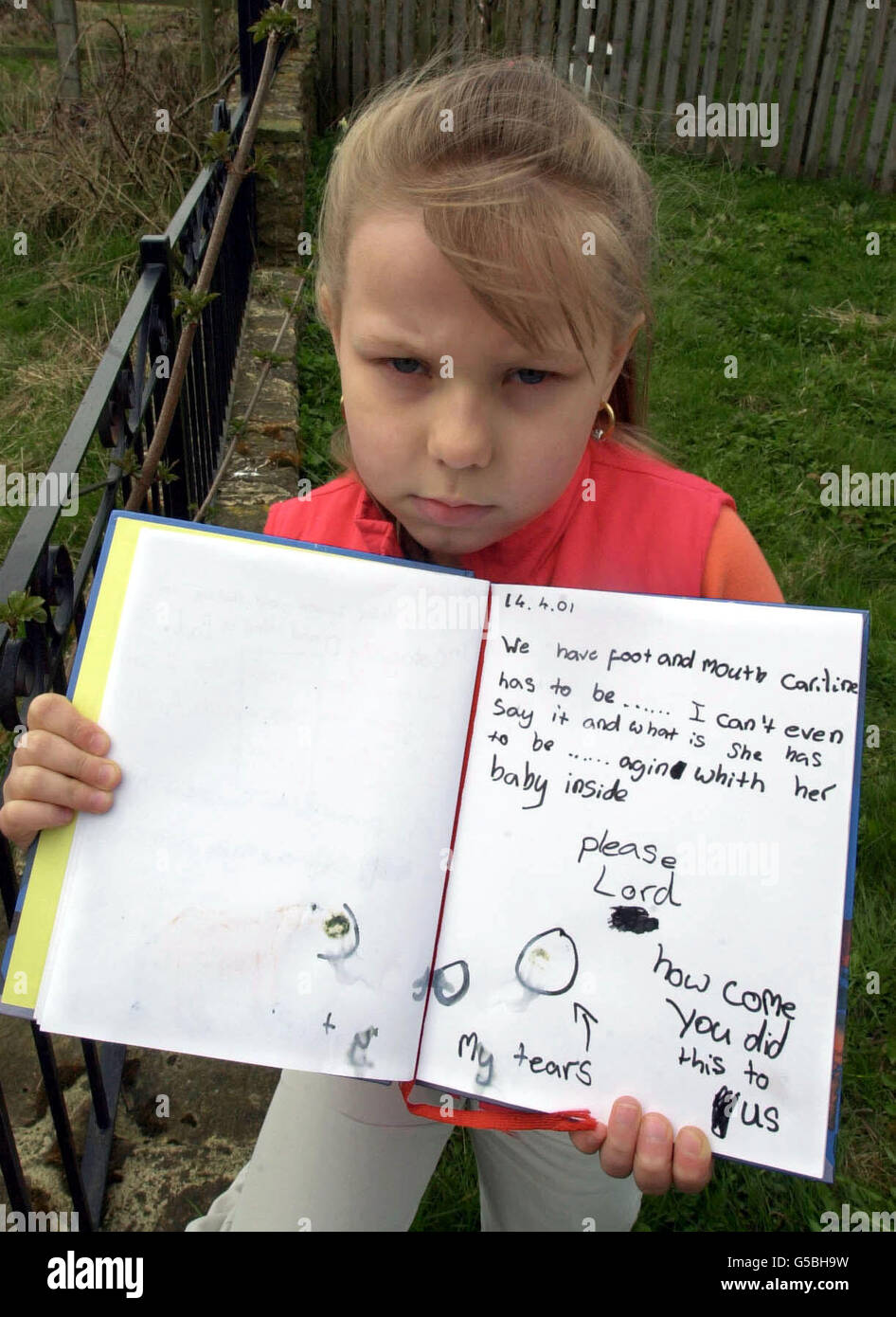 Eight-year-old Jessica Cleminson at her home in West Auckland, County Durham, holds a page from her diary, showing her heartache, Jessica ringed her tears as they fell on to the page at losing her favourite cow to the foot-and-mouth outbreak. *...Despite being scarcely old enough to understand the magnitude of the disease, her thoughts and feelings as shown in the diary graphically depict the trauma caused when Ministry of Agriculture officials ordered that her 14-year-old pet cow, Caroline, was to die. News that Caroline and the rest of Jessica's father's herd were to be culled came the day Stock Photo
