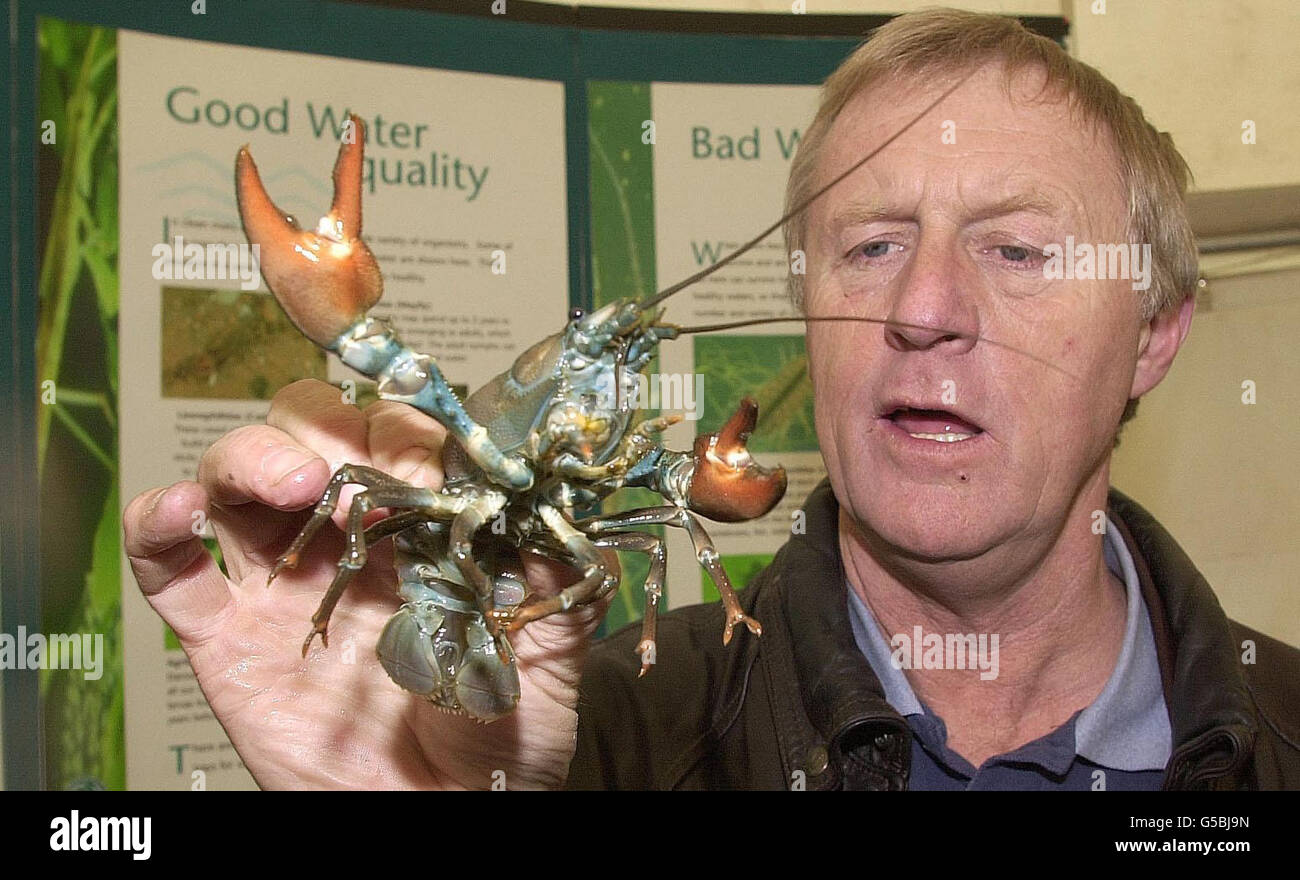 TV presenter Chris Tarrant with a Crayfish at the Angling Project