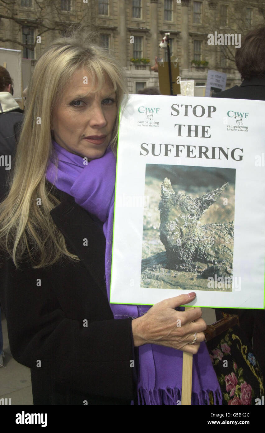 Demonstrating Protesting Holding Politics Placard Celebrity Depaulobit 