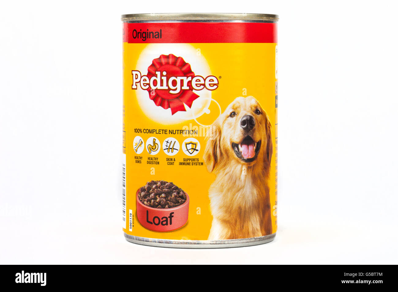 Pedigree dog gift hi-res stock photography and images - Alamy