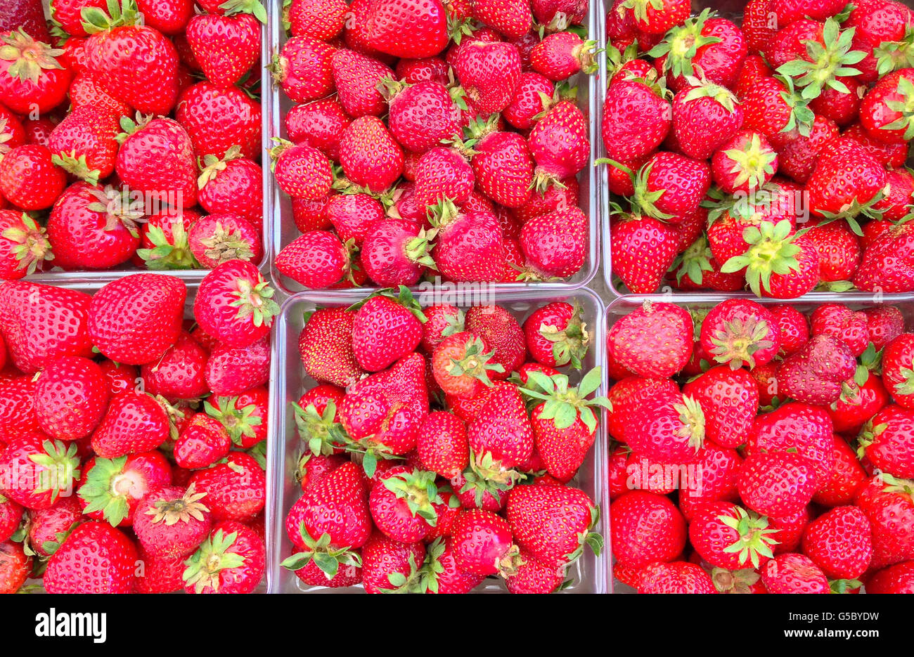 Farmers market new york hi-res stock photography and images - Alamy