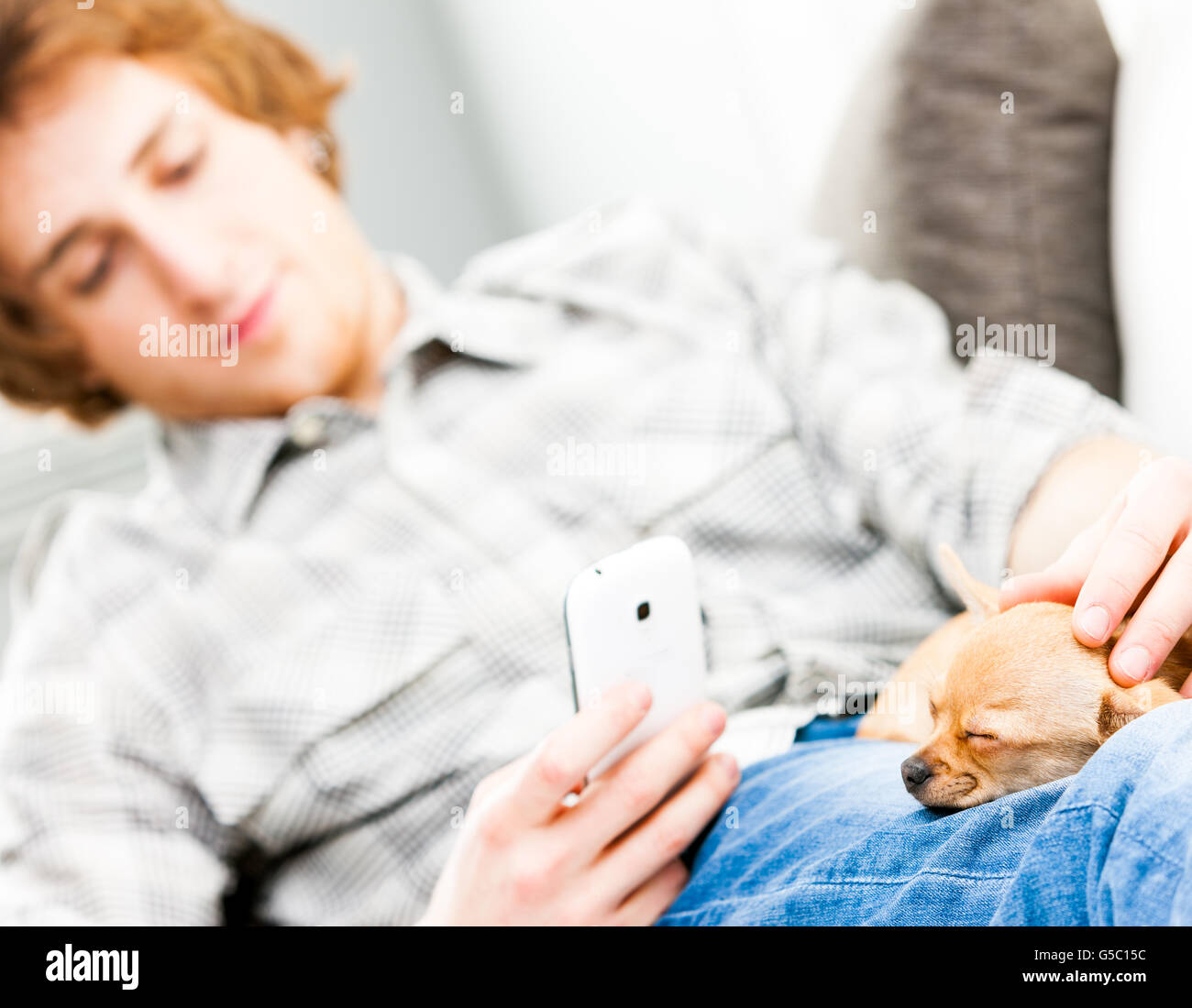Young man caressing his pet chihuahua dog as it sleeps on his lap while they relax together on a couch Stock Photo