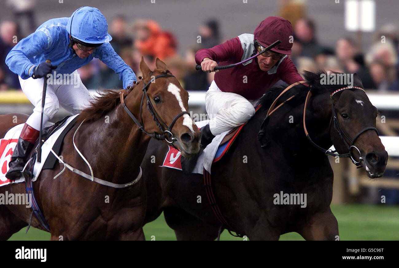 Olden Times with jockey Pat Eddery (right) hold off a challenge from Sunny Glenn and jockey Jason Weaver to win the Feilden Stakes at Newmarket races. Stock Photo