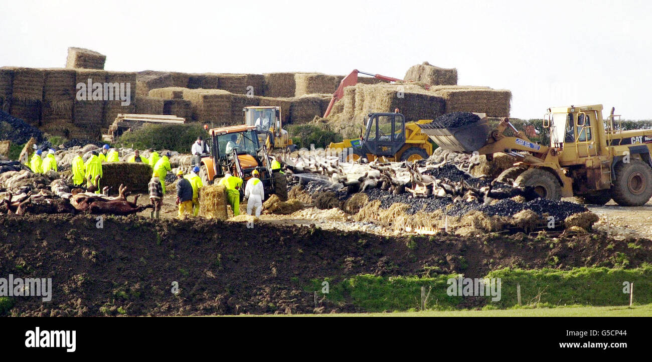 Huge pyre hi-res stock photography and images - Alamy