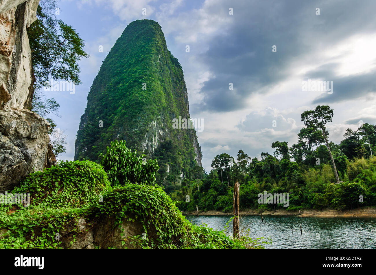 Lush vegetation on giant rock at Cheow Lan Lake in the heart of Khao Sok National Park in Surat Thani Province, Thailand Stock Photo