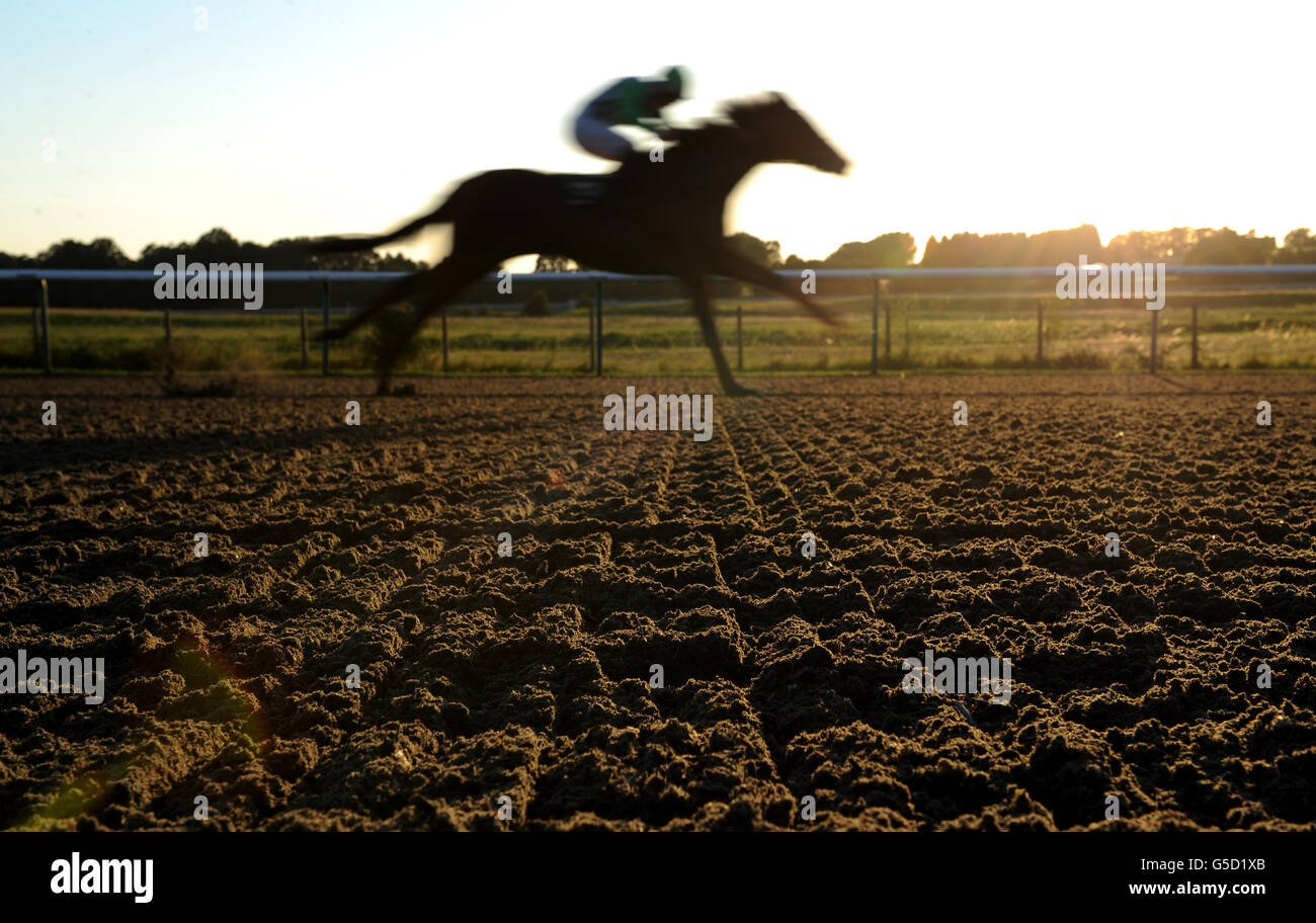 Horse racing racing and music night lingfield park racecourse hires