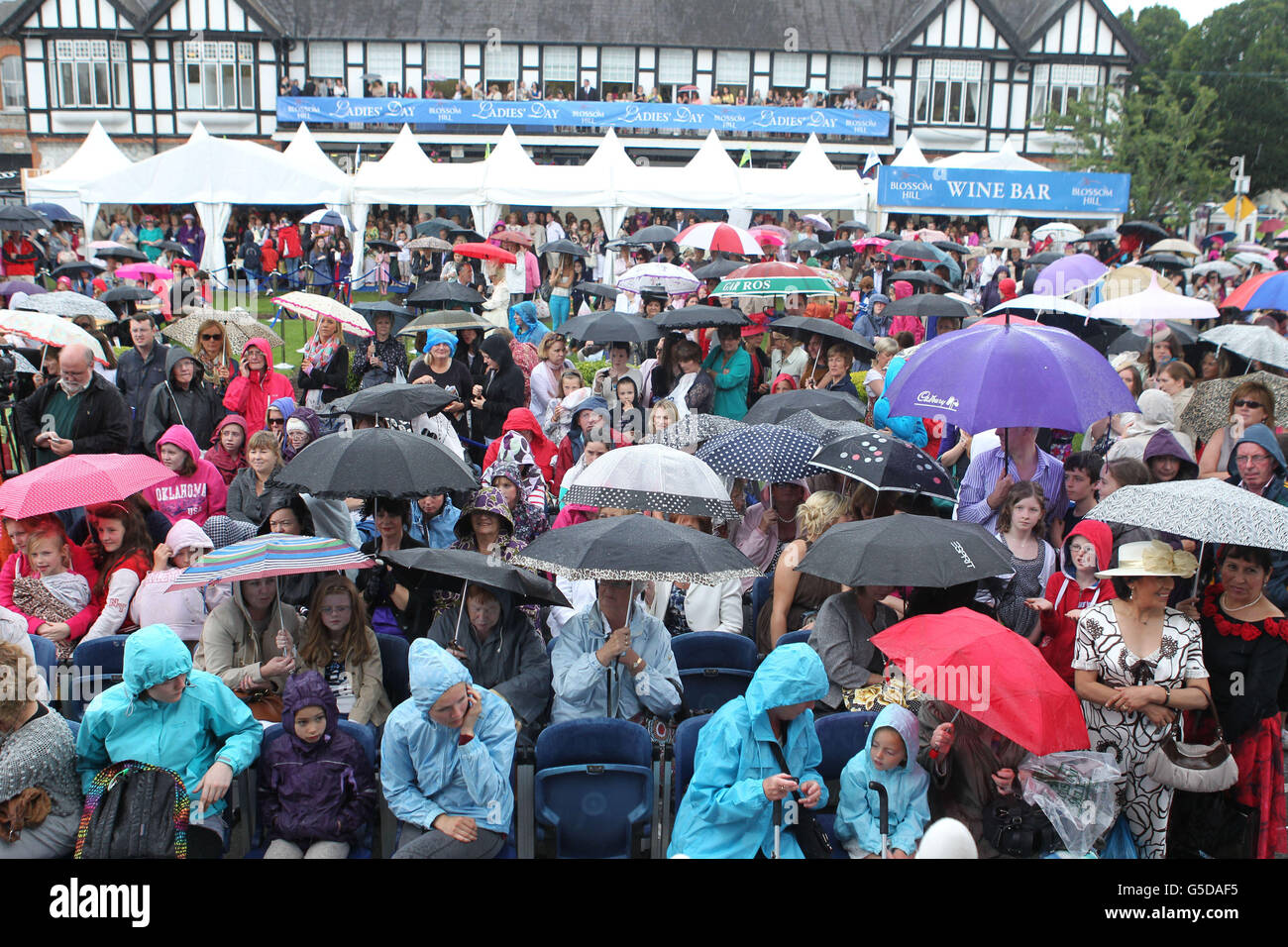 Equestrian Dublin Horse Show RDS Stock Photo Alamy
