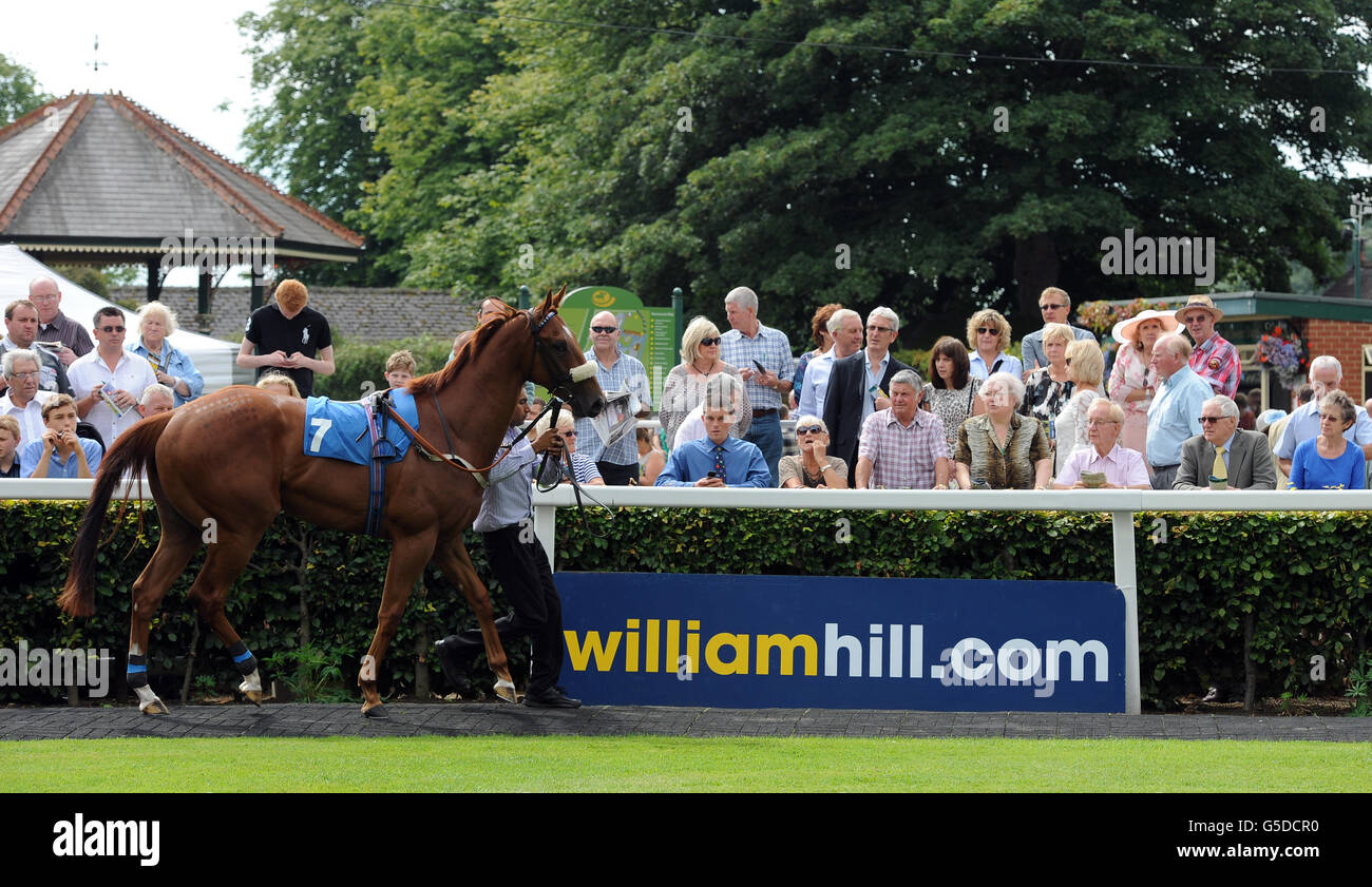 Horse racing william hill great st wilfrid handicap day ripon