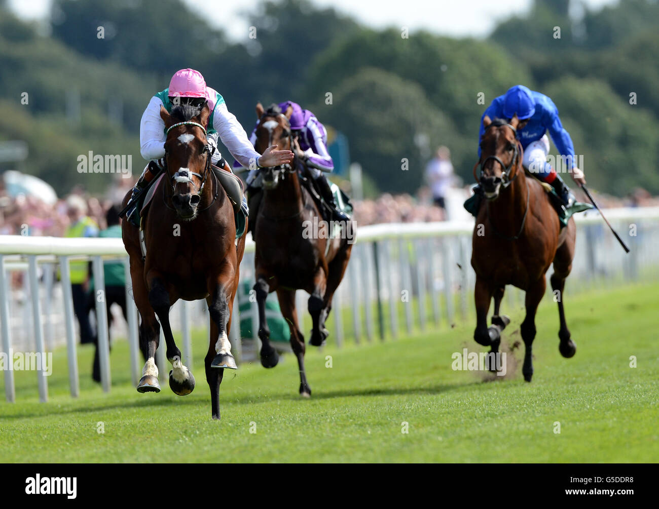 Frankel juddmonte international ] hi-res stock photography and images ...