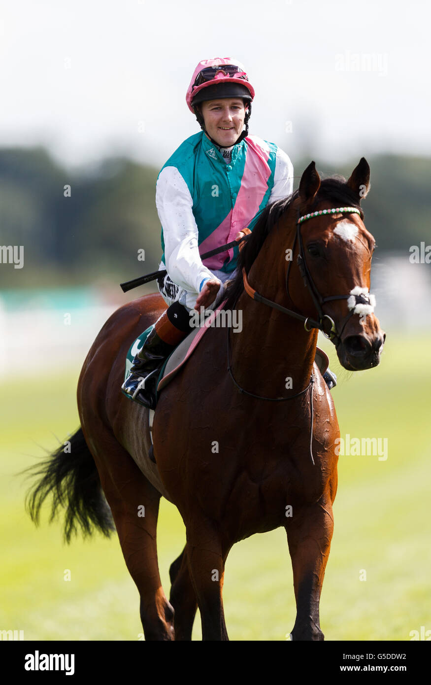 Horse Racing - Ebor Festival 2012 - Juddmonte International - York Racecourse. Tom Queally onboard Frankel celebrates on his parade past the grandstand after winning The Juddmonte International Stakes Stock Photo