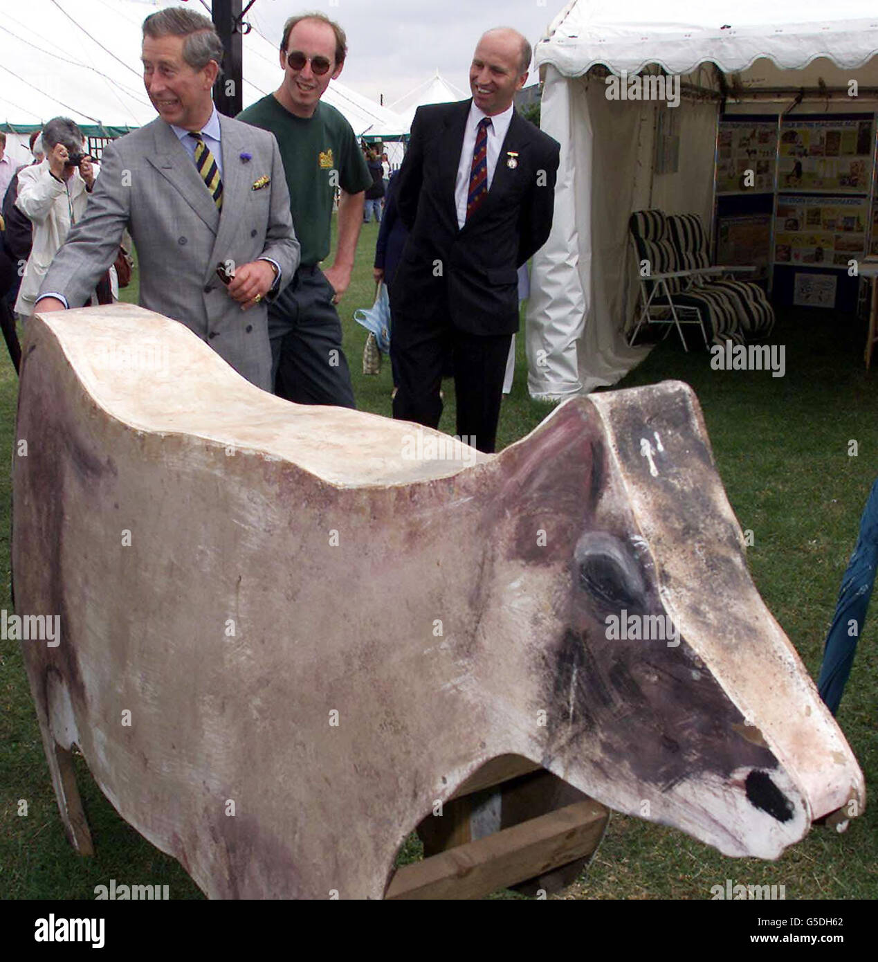 Charles wooden cow show Stock Photo Alamy