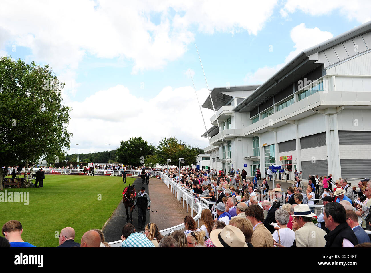 Horse racing family racing festival summer raceday epsom downs ...