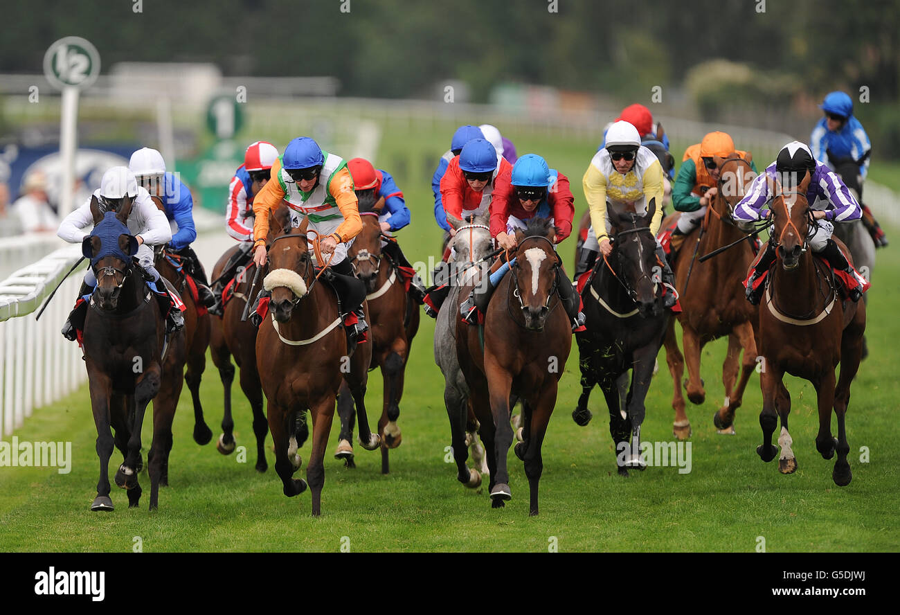 Dank (front 2nd right) ridden by Richard Hughes goes onto win The Thoroughbred Breeders Association Atlanta Stakes. Stock Photo