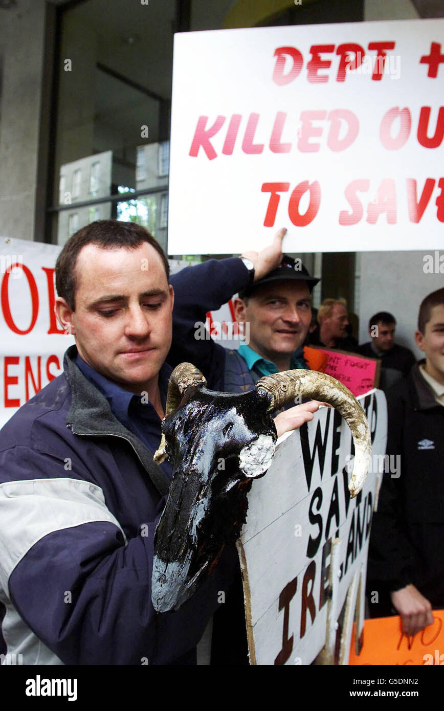Farmers from the Cooley Peninsular, in Co. Louth , protest outside the Irish Parliament, Dublin, for higher compensation for the animals slaughtered there during the foot and mouth crisis. *...Since the UK outbreak in February 2001, there has been just one confirmed case of the disease in the Republic affecting a sheep in Proleek, Co. Louth. More than 50,000 animals were subsequently slaughted on the peninsular, which is close to the border with Northern Ireland. Stock Photo
