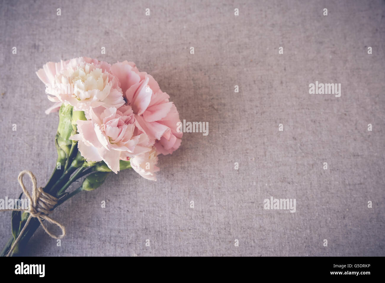 Pink carnation flowers bouquet copy space toning background Stock Photo ...