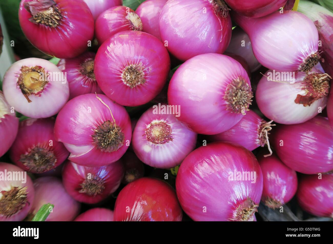 Vibrant fresh organic red onions at the Oakland farmers market Stock ...