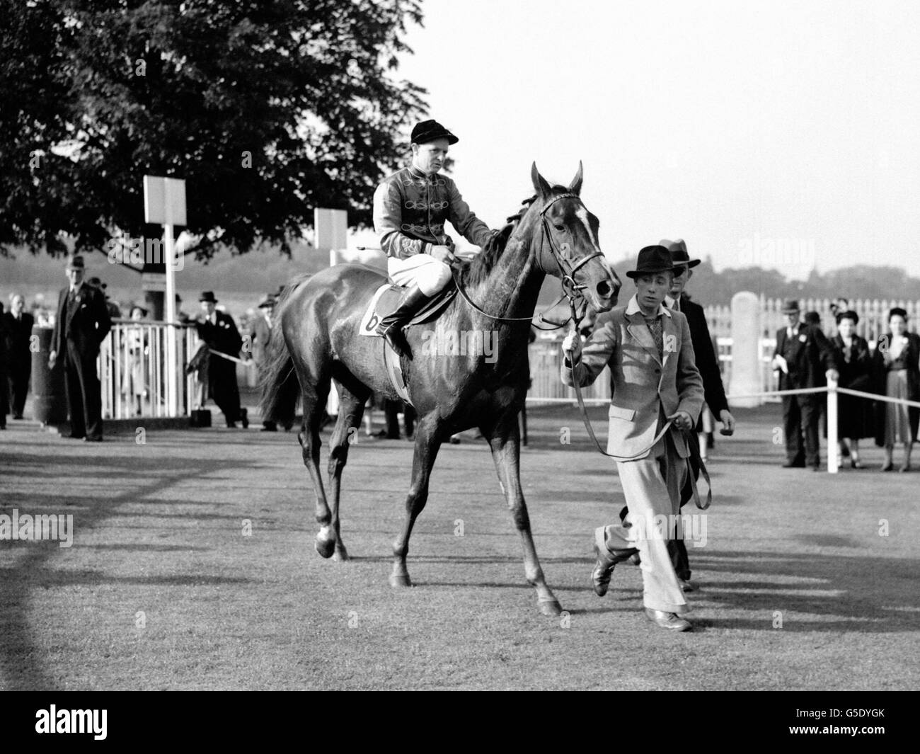 All weather horse racing Black and White Stock Photos & Images Alamy