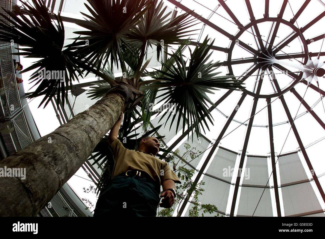 Victorian Garden Stock Photo