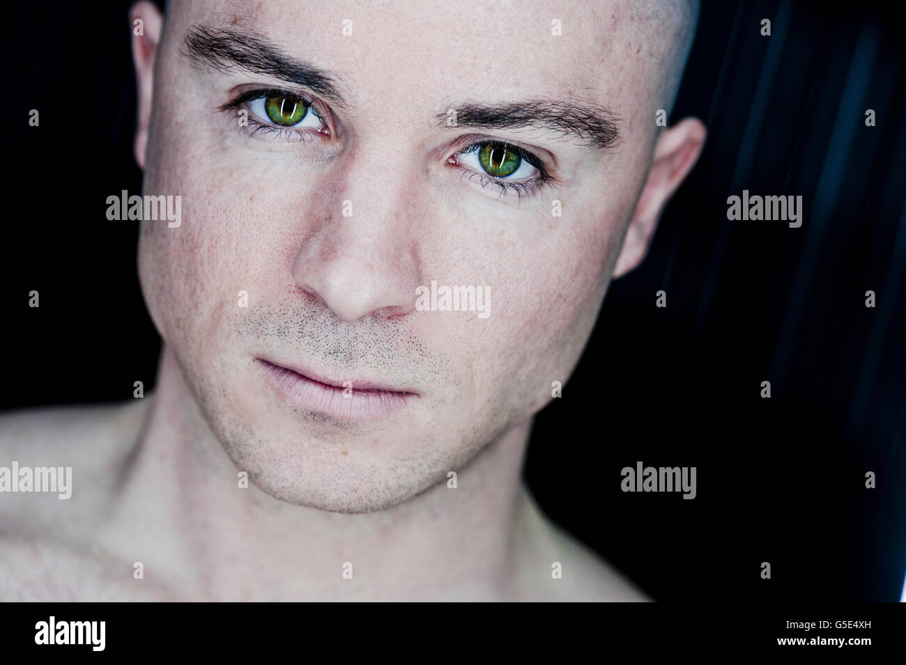 Bald head hi-res stock photography and images - Alamy