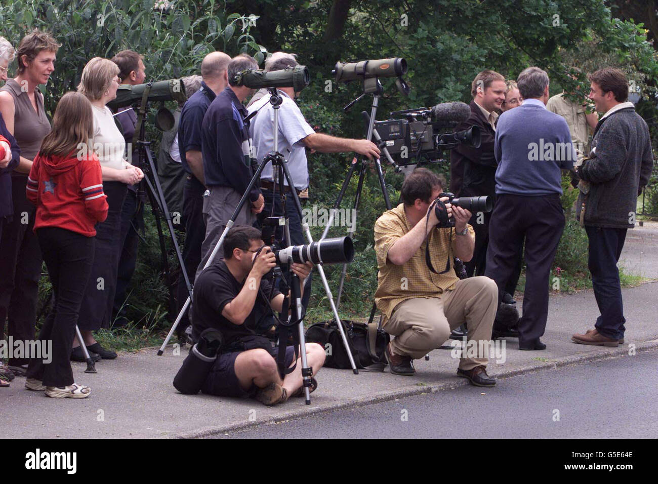 Suffolk the ruppells vulture which escaped from zoo near thetford hi