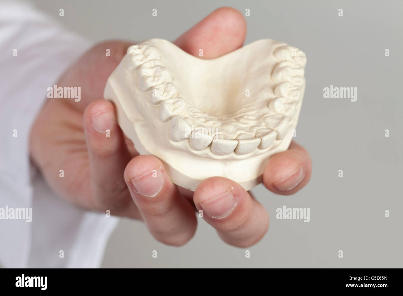 Hand holding a plaster model of the upper jaw, situation model Stock Photo