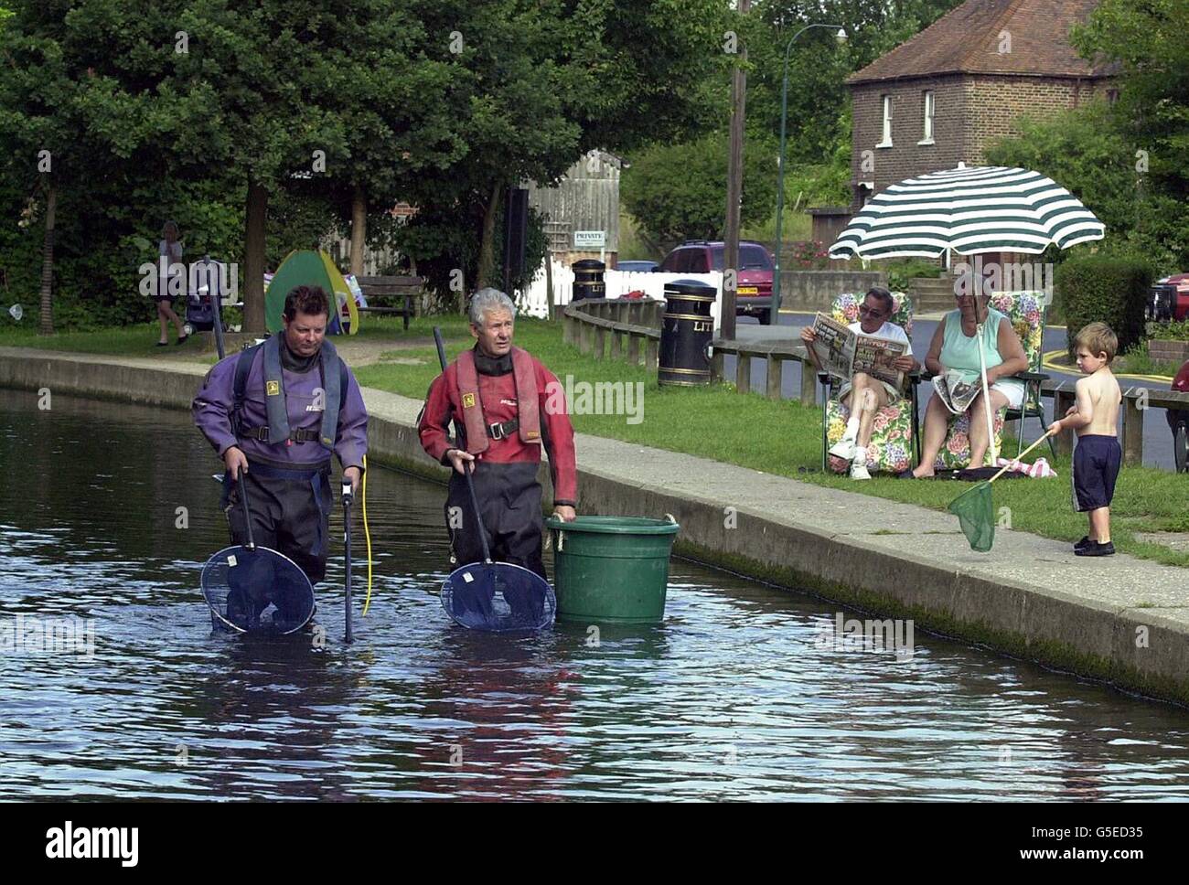 Environment Agency Fisheries officers fishing with electrical fishing equipment on the River