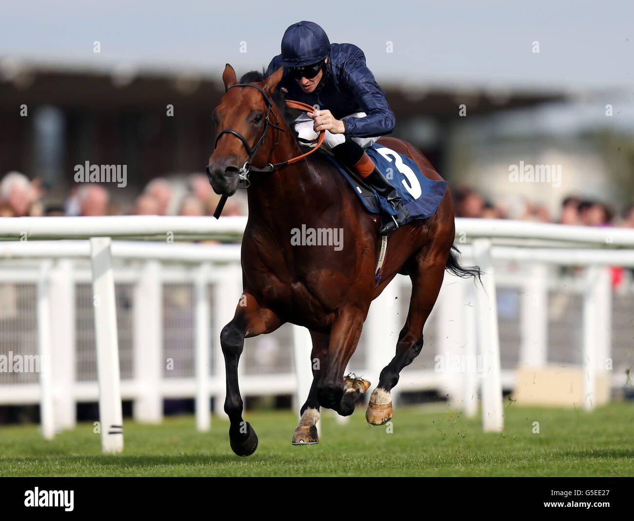 Horse Racing - 2012 Dubai Duty Free International Weekend - Day One ...
