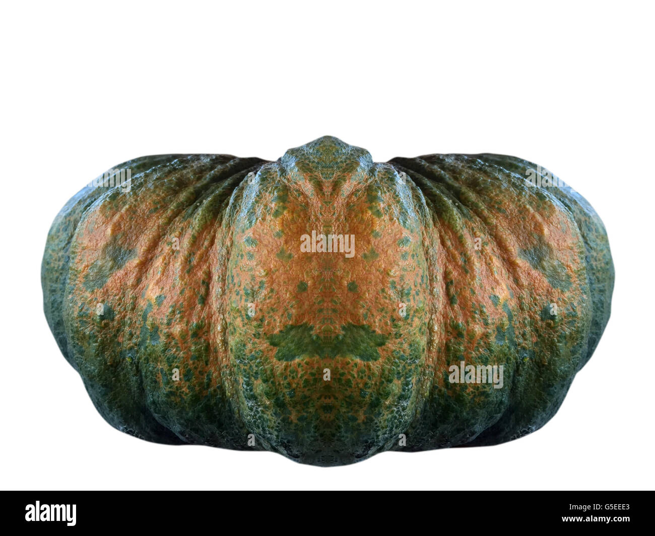 Pumpkin isolated on white background with clipping path Stock Photo - Alamy