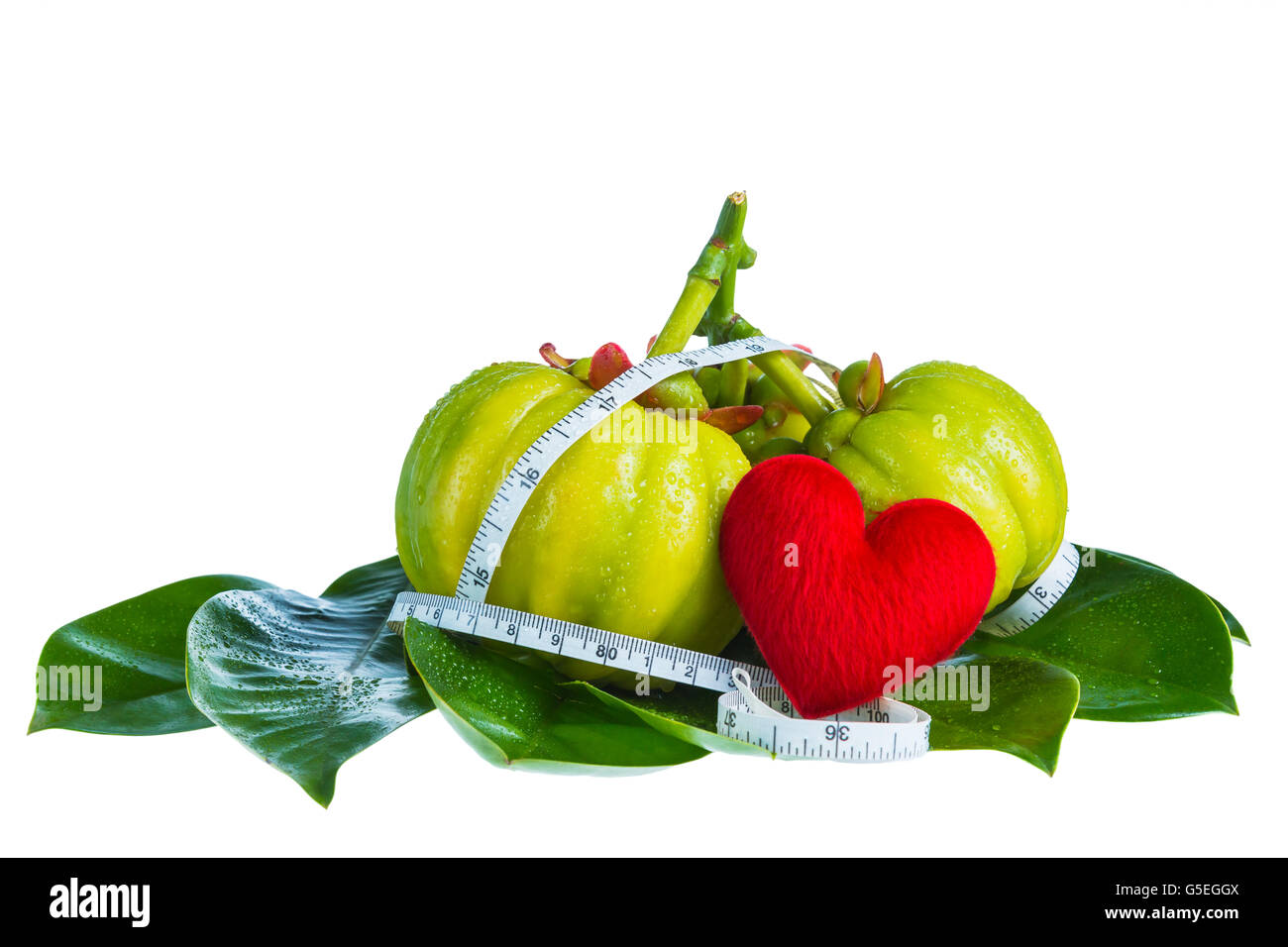 Garcinia atroviridis fruit with measuring tape and red heart-shaped on leaves,isolated on white background. Stock Photo