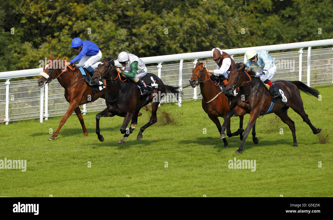 Horse Racing - Goodwood Stock Photo - Alamy