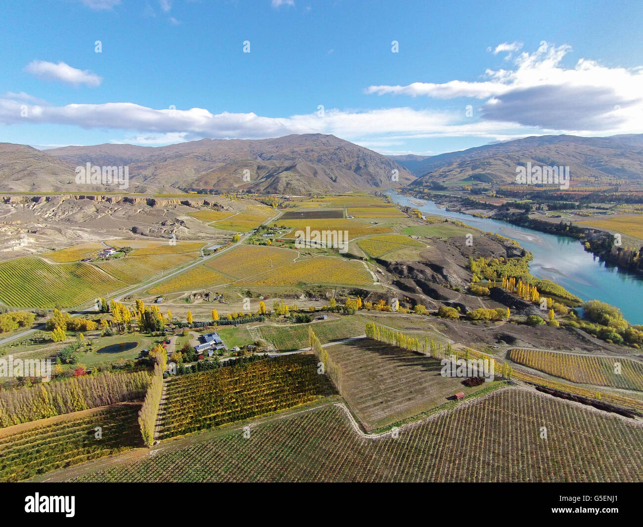 Vineyards, Felton Road, Bannockburn, and Kawarau Arm, Lake Dunstan, near Cromwell, Central Otago, South Island, New Zealand - dr Stock Photo