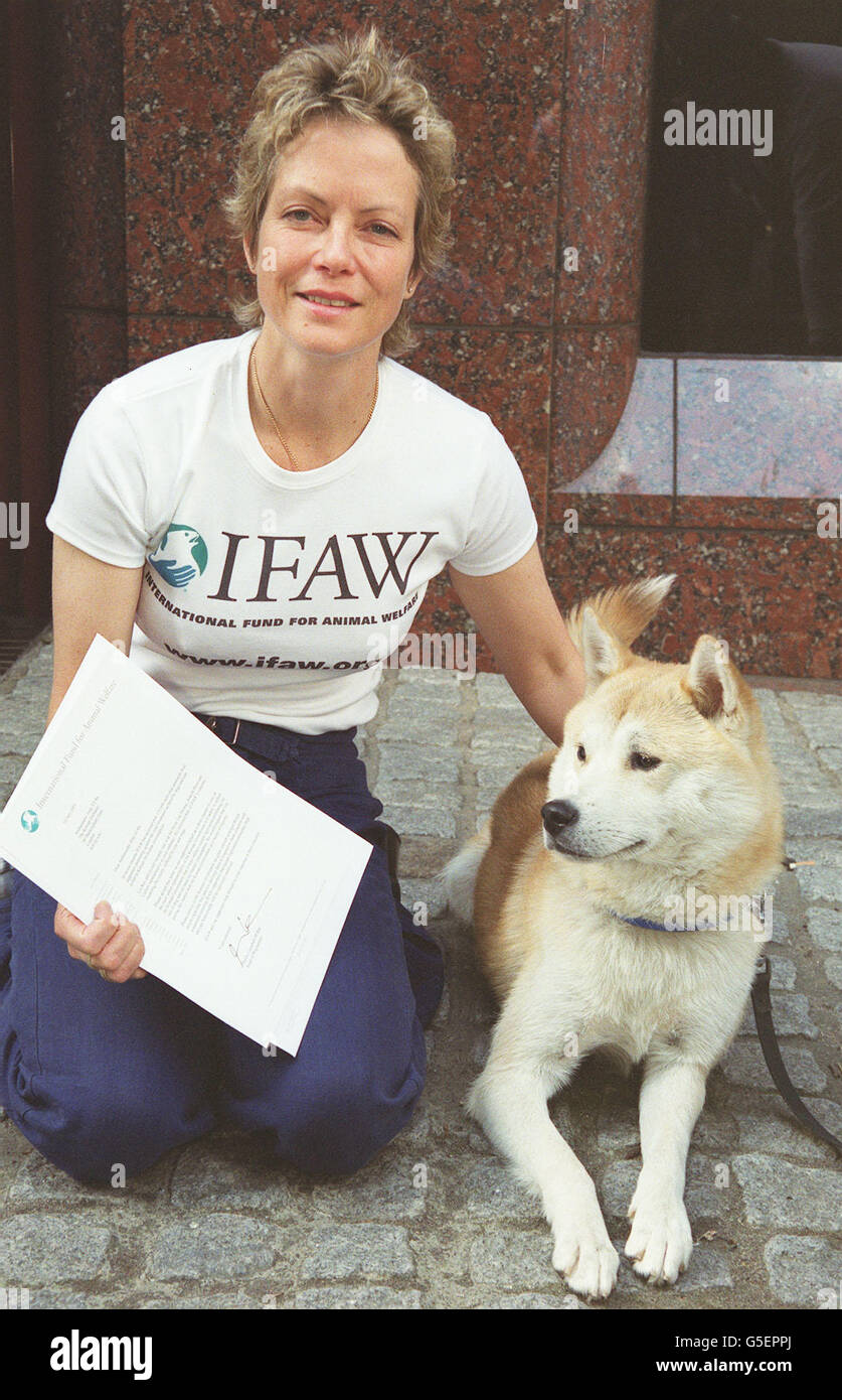 Actress and animal lover Jenny Seagrove outside the Korean Embassy, central London, presented a letter to the Korean Embassy to urge the Korean Government to end the cruel practice of rearing and killing dogs and cats for human consumption. * Ms Seagrove acting on behalf of the International Fund for Animal Welfare (IFAW) was accompanied by the Korean dog 'Hope' who was rescued from a dog market by ITN reporter Mark Jordan. Hope was destined for the slaughter house and was featured in a recent Channel 5 documentary. Stock Photo