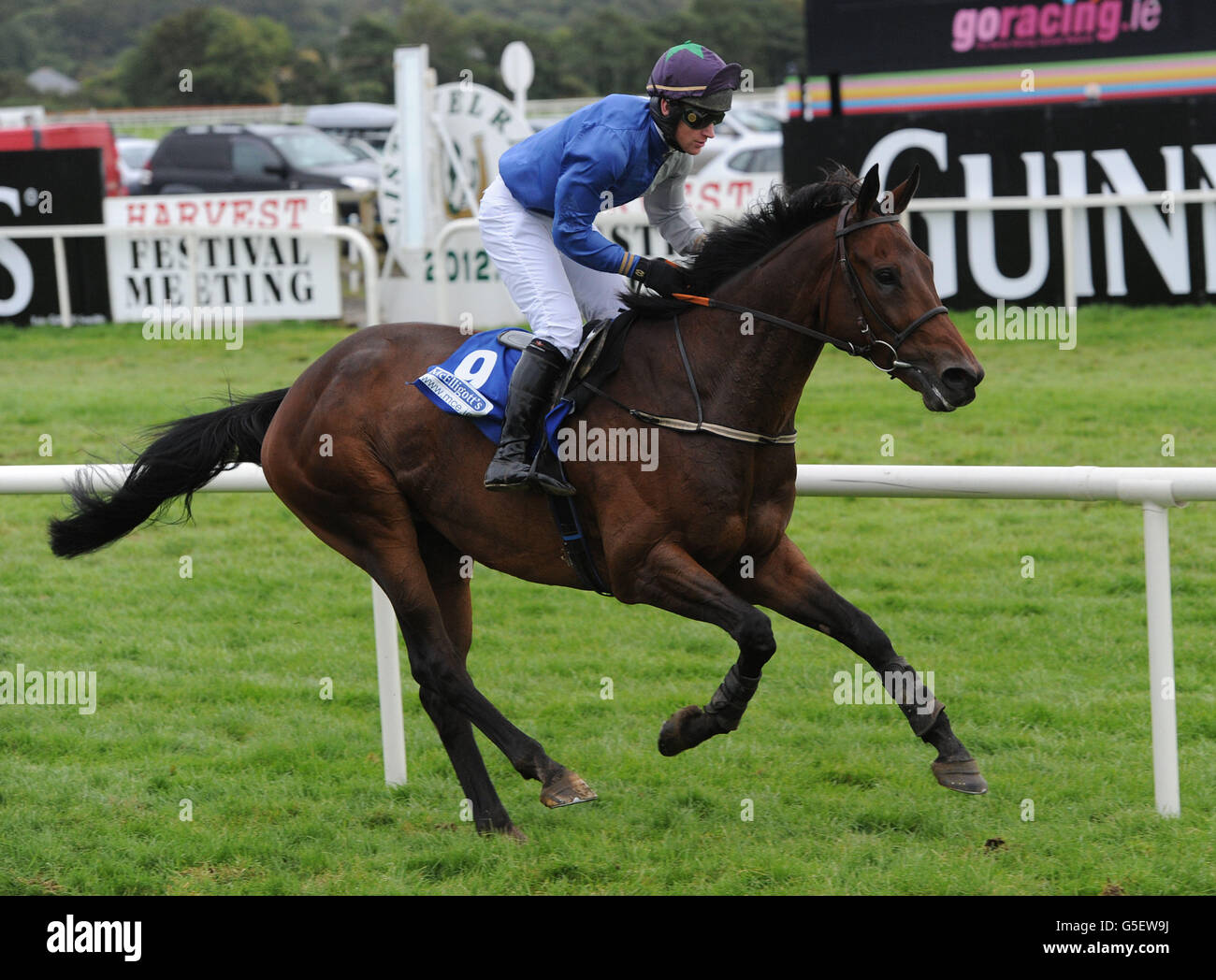 Listowel racecourse hires stock photography and images Alamy