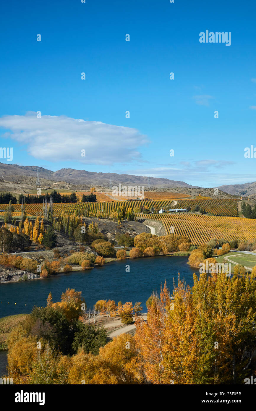 Autumn colours, Bannockburn Inlet, Lake Dunstan, Central Otago, South Island, New Zealand Stock Photo