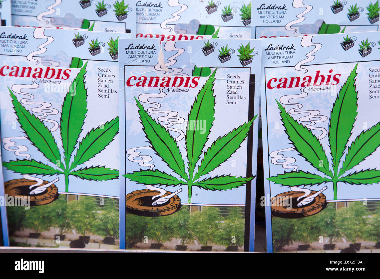 Hanfsamen, Samen, cannabis Stock Photo - Alamy