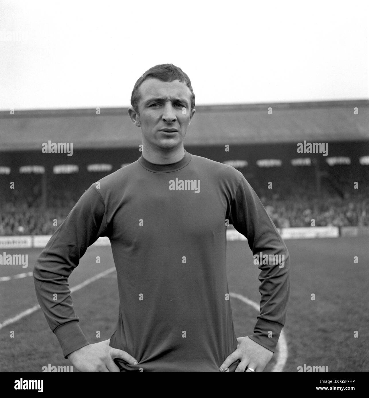 Soccer Manchester City Stock Photo Alamy