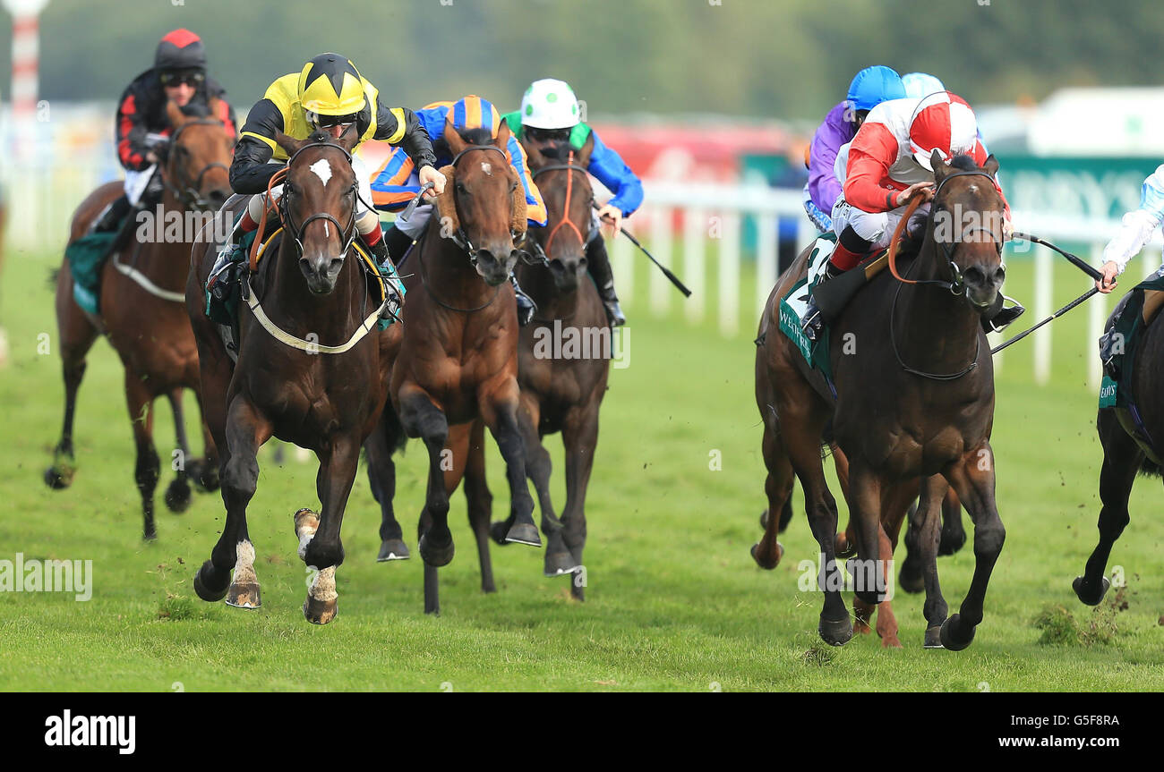 The Golden Cheongsam ridden by Franny Norton (red/white) wins The Weatherbys £300,000 2-Y-O Stakes during the Ladbrokes St Leger Festival at Doncaster Racecourse. Stock Photo