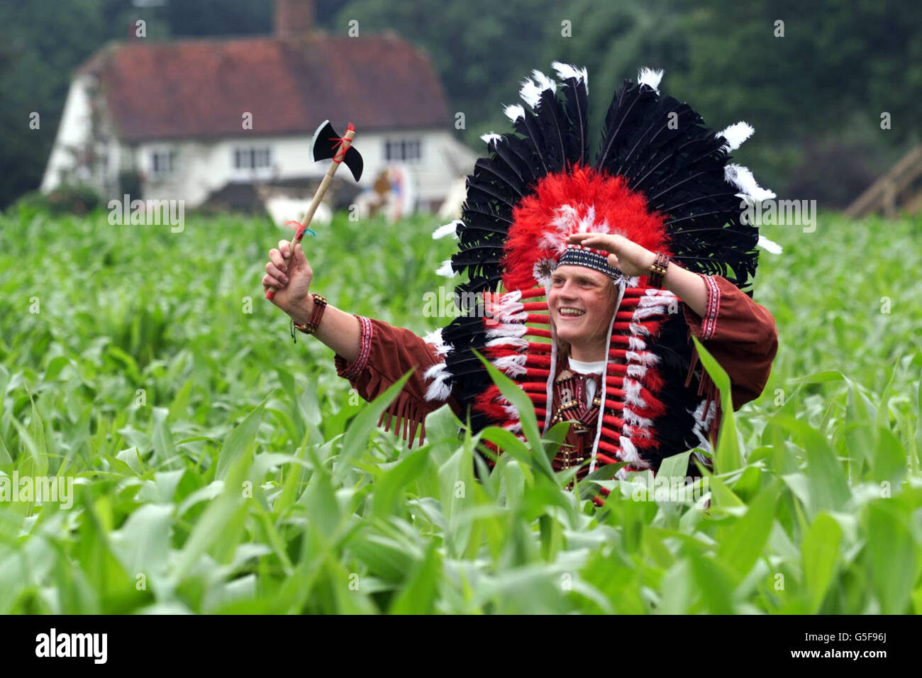 Member of staff Dan Small, dressed as a Red Indian, looks for a way out of the Wild West Maize Maze at Turners Hill, West Sussex. The farm maze is one of the largest ever created and depicts a cowboy on a rearing horse carved into an eight-acre field of cattle maize. Stock Photo