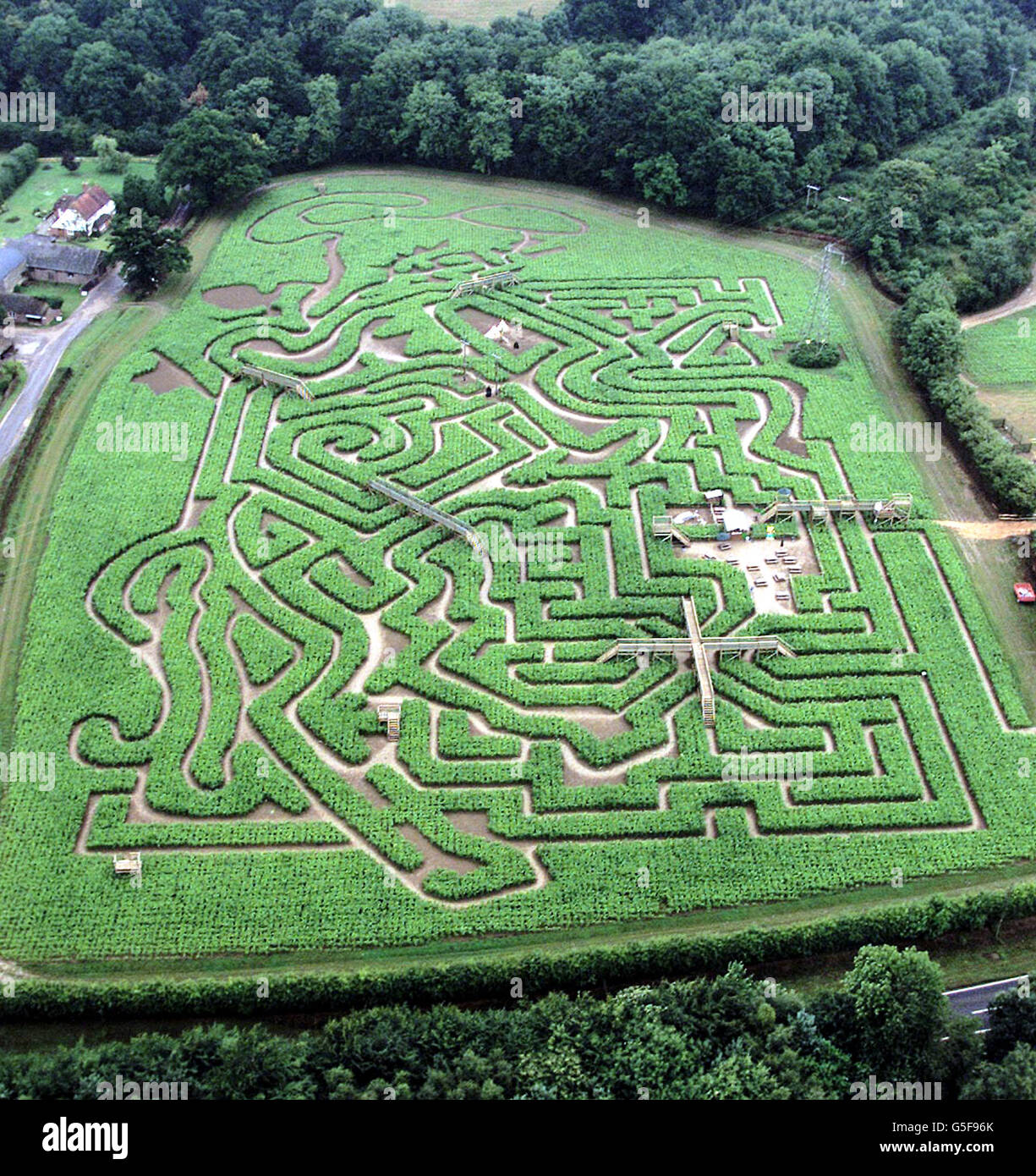 The Wild West Maize Maze at Turners Hill, West Sussex. The farm maze is one of the largest ever created and depicts a cowboy on a rearing horse carved into an eight-acre field of cattle maize. Stock Photo