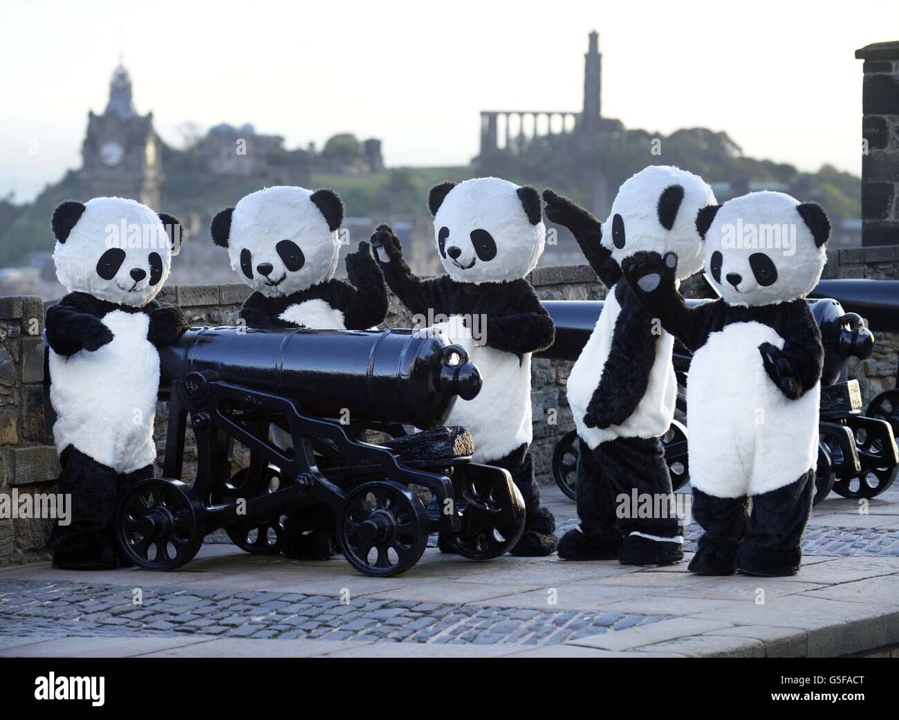 Chengdu Panda Base Stock Photo Alamy Chengdu Panda Base Stock Photo Alamy