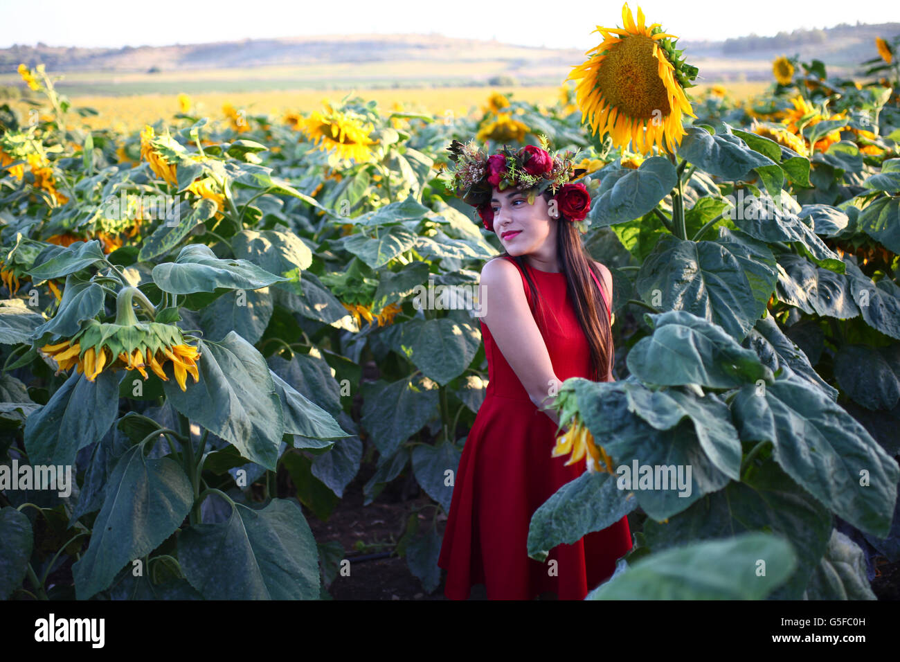 Preteen with wreath in a field of sunflowers Stock Photo
