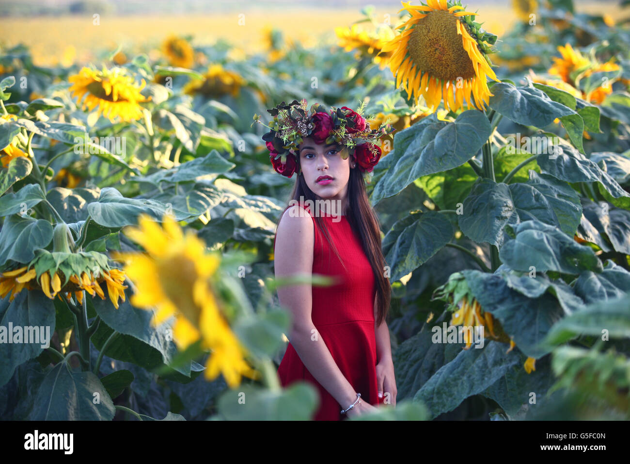 Preteen with wreath in a field of sunflowers Stock Photo