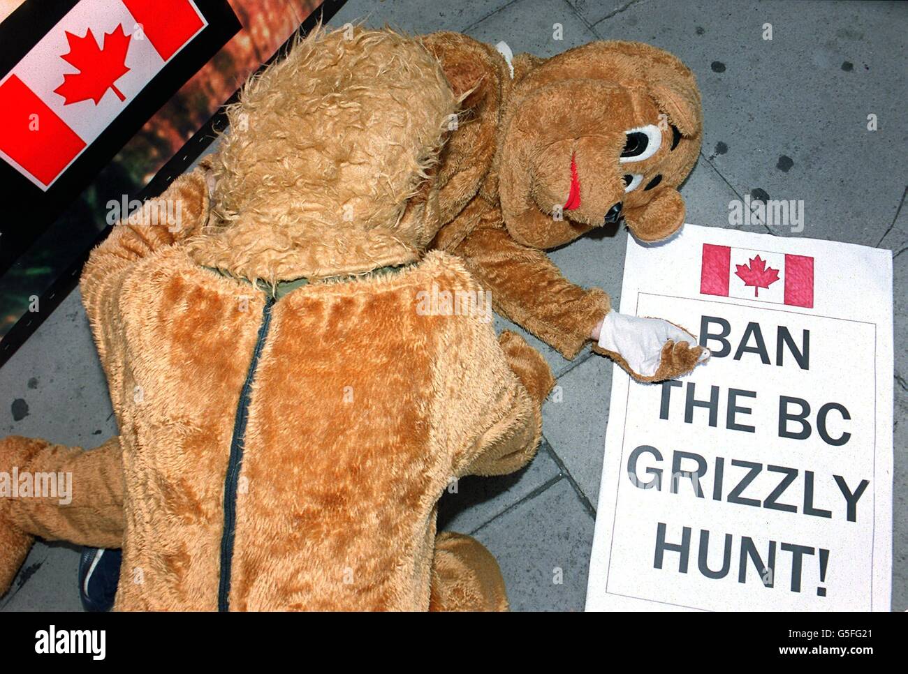 Anti Bear Hunting Demo Stock Photo Alamy