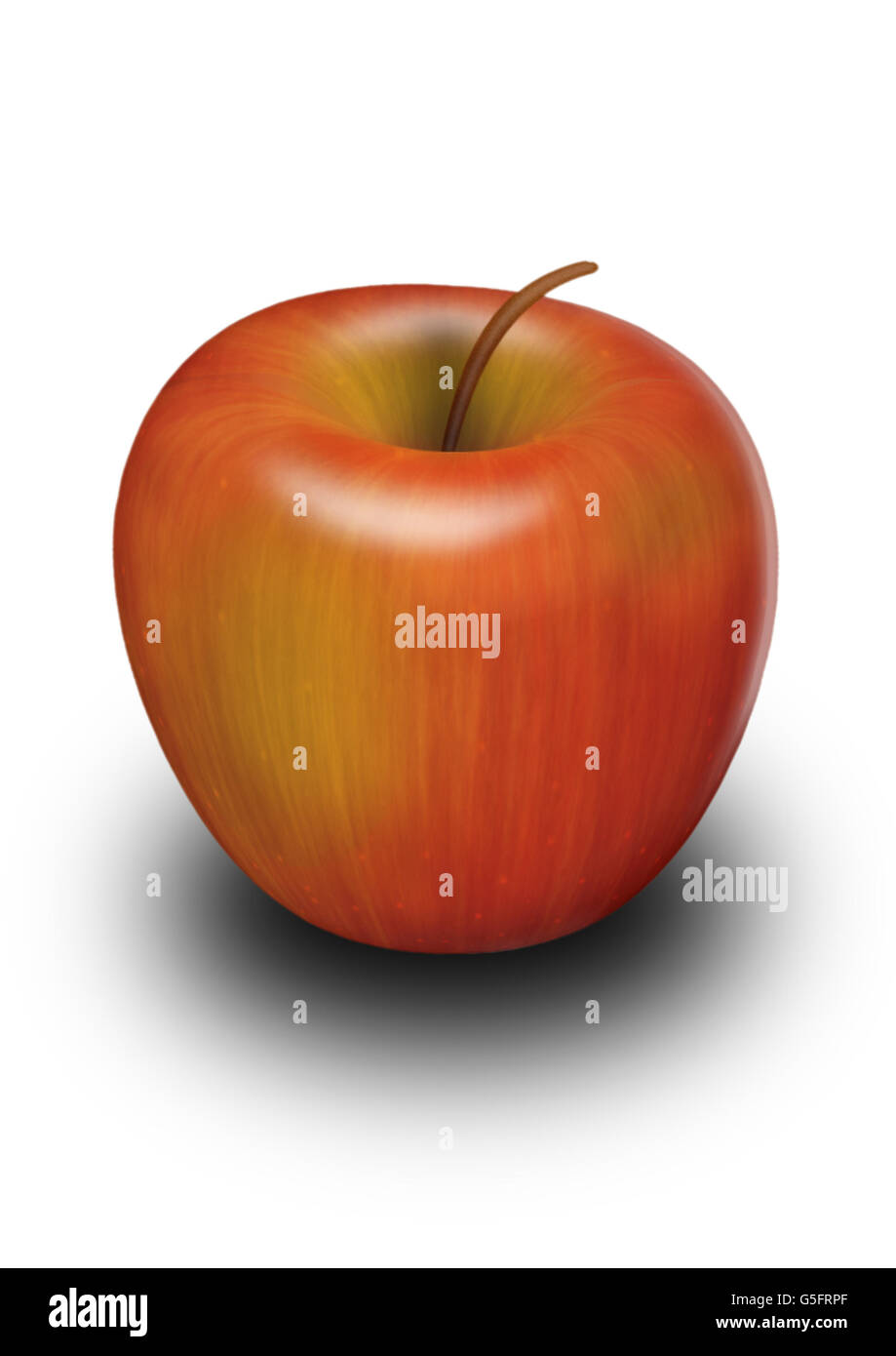 Illustration of an Apple Stock Photo