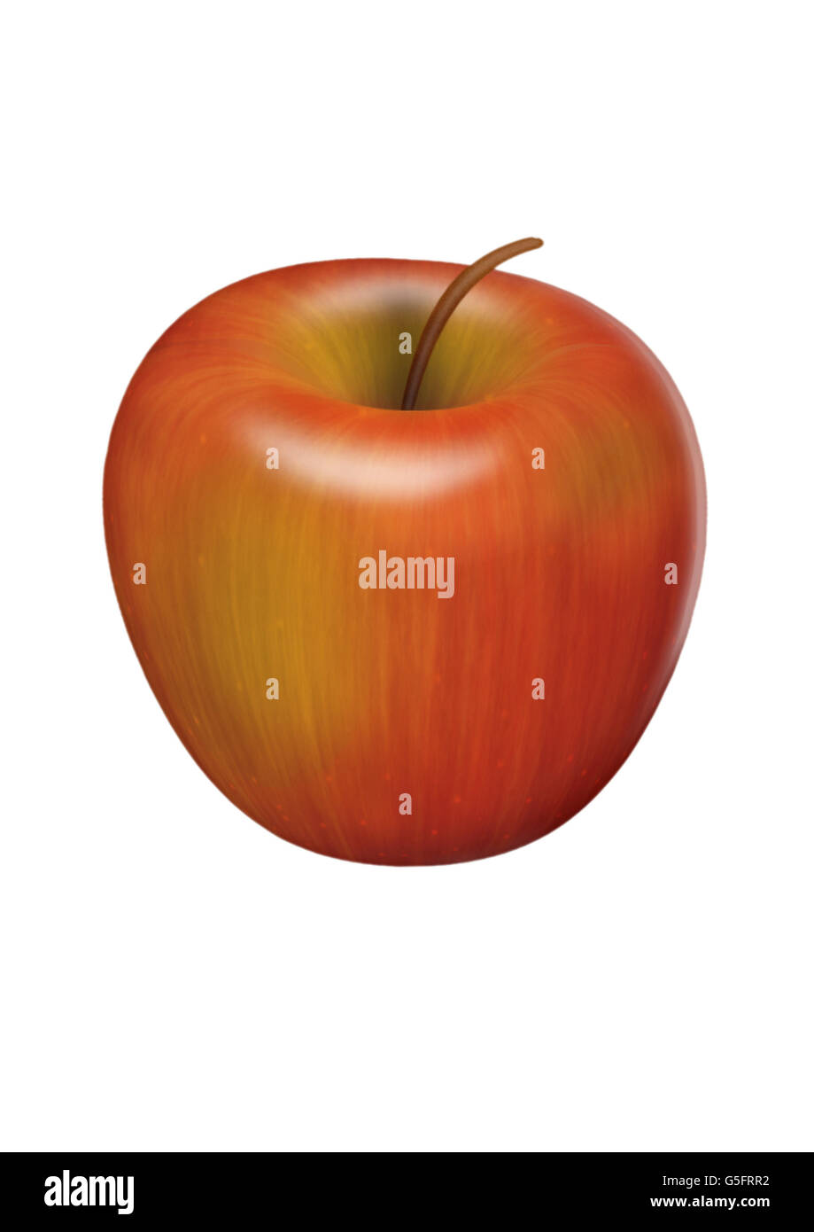 Illustration of an Apple Stock Photo