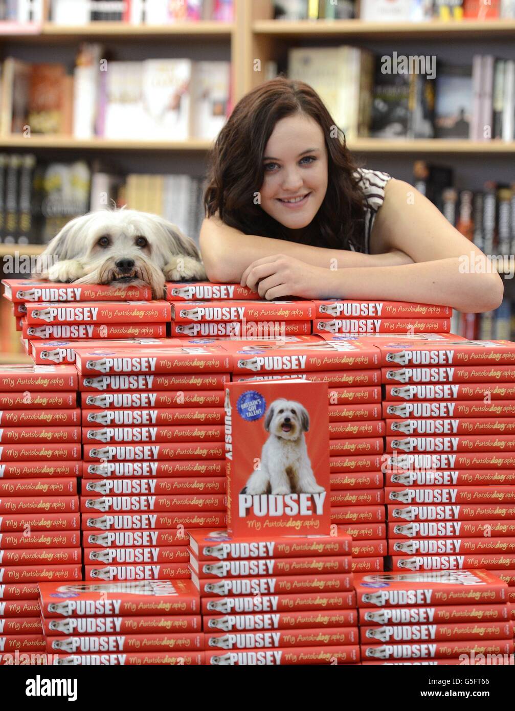 Pudsey 'Autobidography' launch Stock Photo Alamy