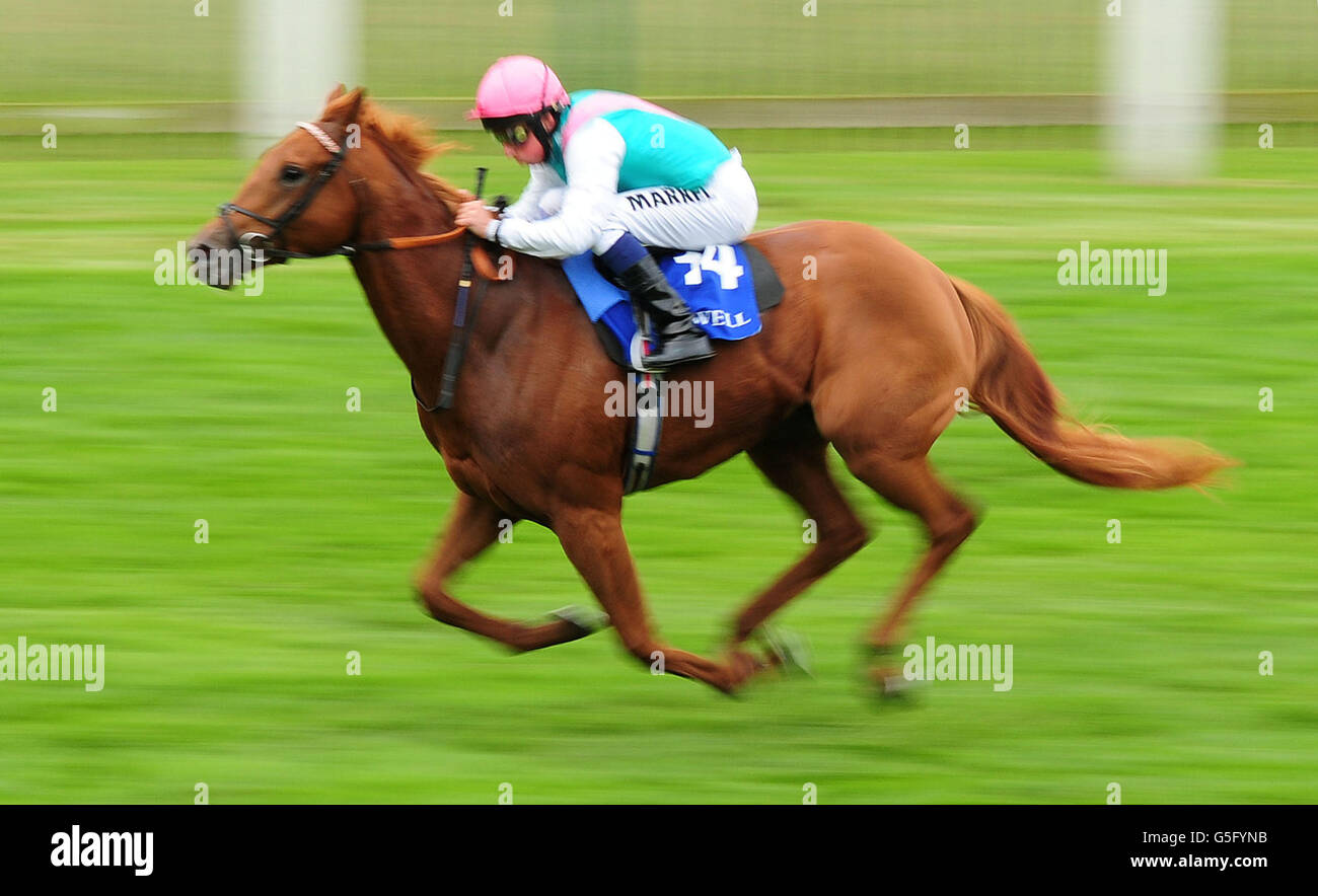 Seek Again ridden by William Buick comes home to win the Nunnery Stud E.B.F. Maiden Stakes during day two of The Cambridgeshire Festival at Newmarket Racecourse. Stock Photo