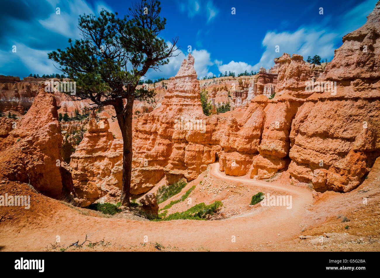 An Adventure in Bryce Canyon National Park Stock Photo