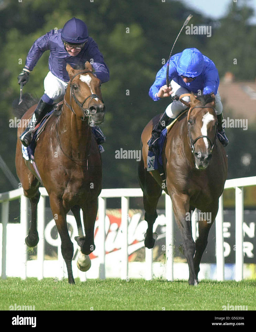 Racing Champion/ Fantastic Light Stock Photo Alamy